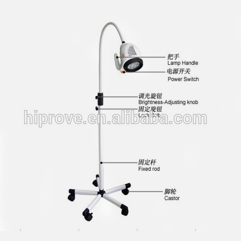 Medical Examination Lamp