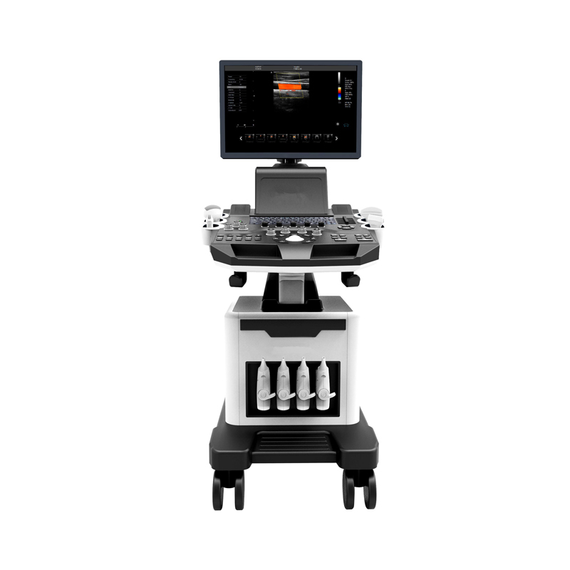 3D/4D Ultrasound Color Doppler