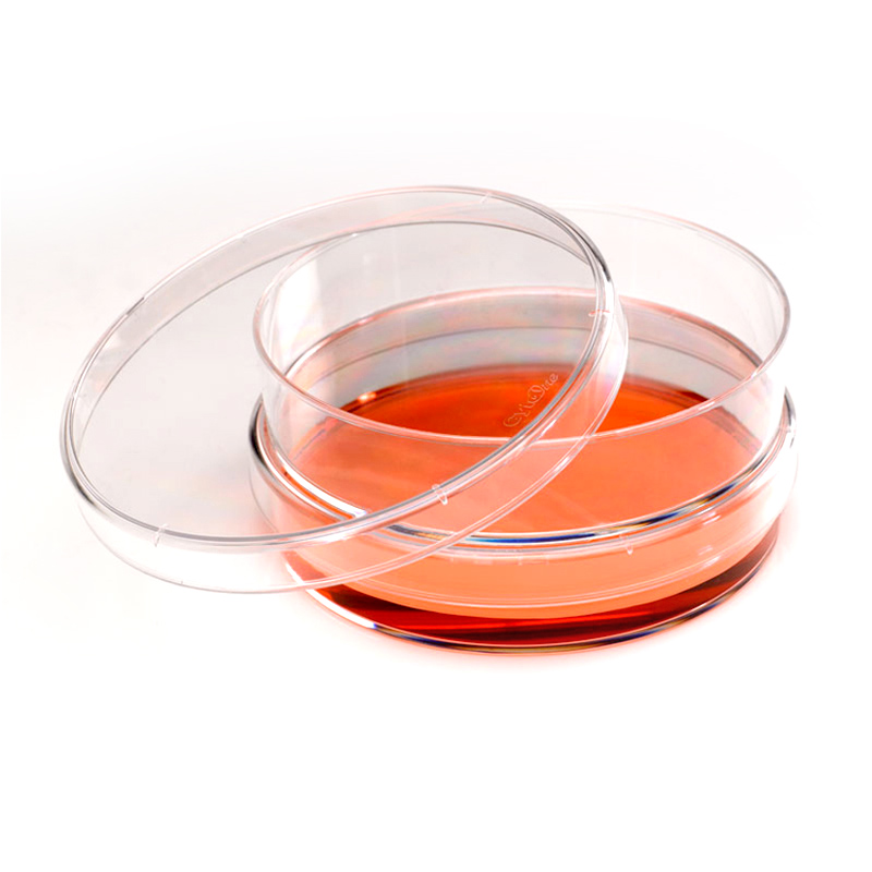 Plastic Petri Dish